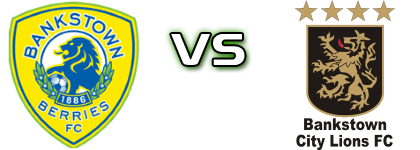Bankstown Berries FC - Bankstown City head to head game preview and prediction