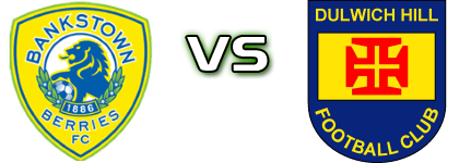 Bankstown Berries FC - Dulwich Hill Detalles y estadisticas Bankstown Berries FC - Dulwich Hill Detalles y estadisticas
