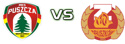 Puszcza - Znicz detalji utakmice i statistika