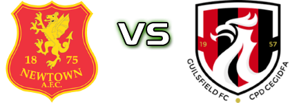 Newtown - Guilsfield Spiel Prognosen und Statistiken