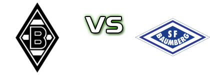 Borussia M'gladbach II - Baumberg Spiel Prognosen und Statistiken